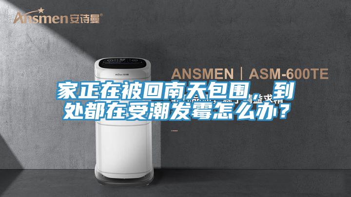 家正在被回南天包圍，到處都在受潮發(fā)霉怎么辦？