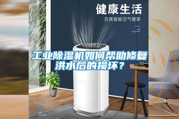 工業(yè)除濕機如何幫助修復洪水后的損壞？
