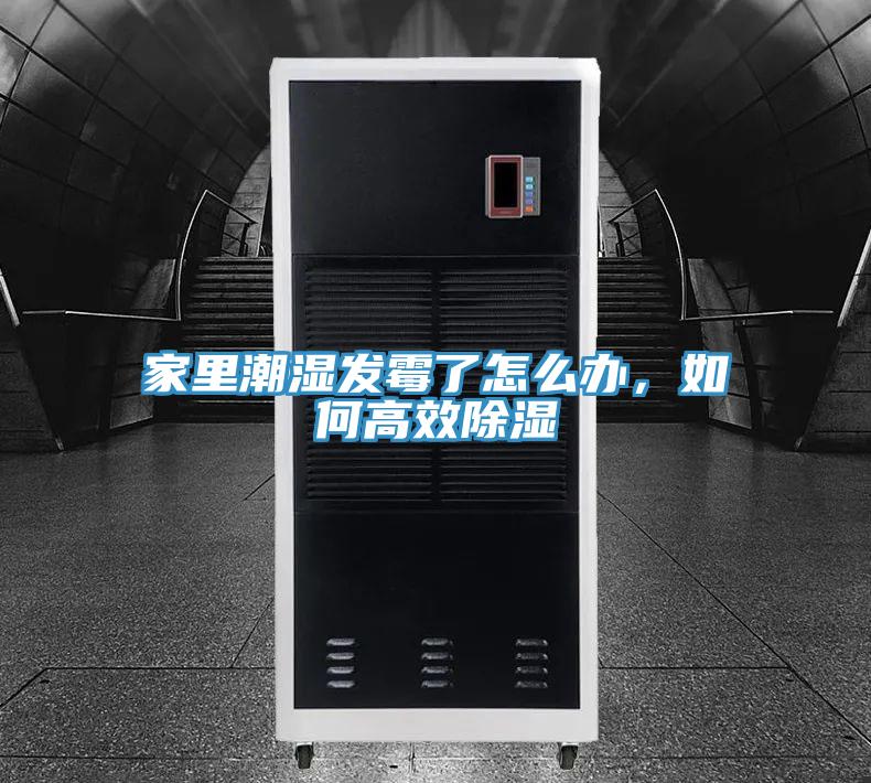 家里潮濕發(fā)霉了怎么辦，如何高效除濕