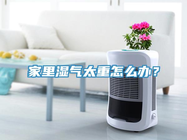 家里濕氣太重怎么辦？