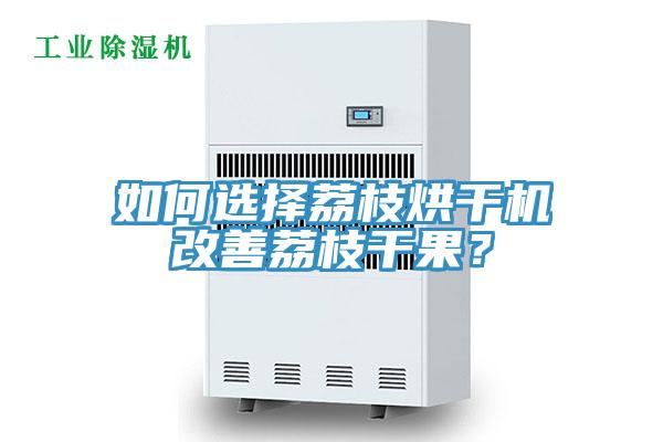 如何選擇荔枝烘干機改善荔枝干果？