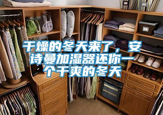 干燥的冬天來了，安詩曼加濕器還你一個干爽的冬天