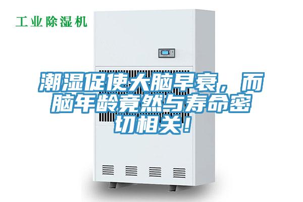 潮濕促使大腦早衰，而腦年齡竟然與壽命密切相關(guān)！