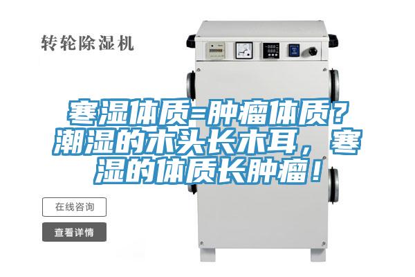 寒濕體質(zhì)=腫瘤體質(zhì)？潮濕的木頭長木耳，寒濕的體質(zhì)長腫瘤！