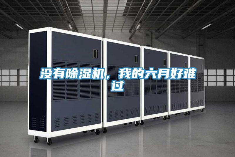 沒有除濕機(jī)，我的六月好難過