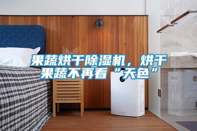 果蔬烘干除濕機(jī)，烘干果蔬不再看“天色”