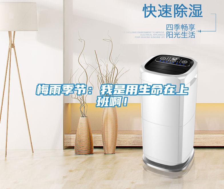 梅雨季節(jié)：我是用生命在上班??！