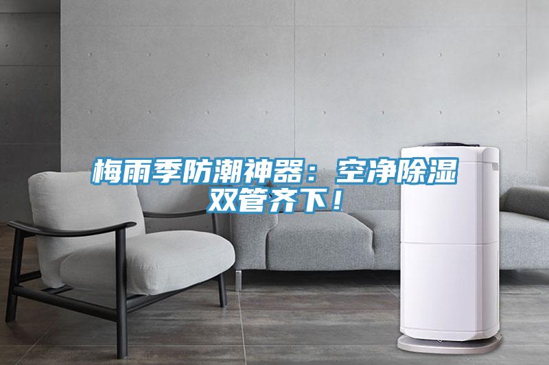 梅雨季防潮神器：空凈除濕雙管齊下！