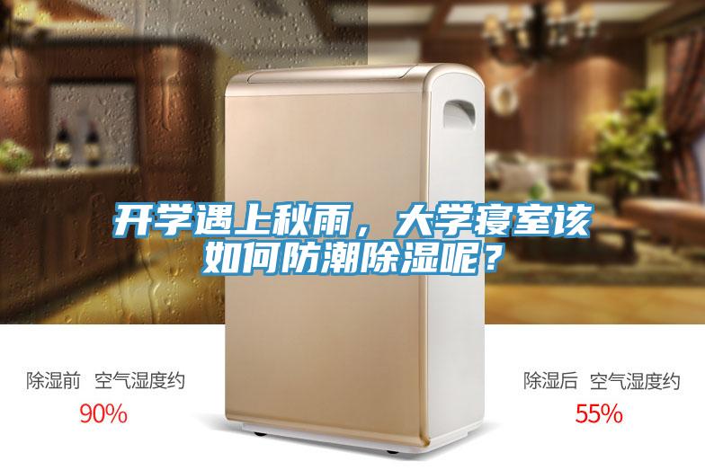 開學(xué)遇上秋雨，大學(xué)寢室該如何防潮除濕呢？