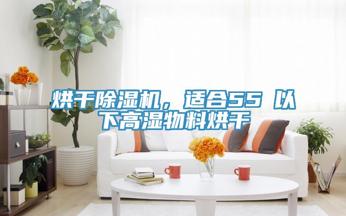 烘干除濕機，適合55℃以下高濕物料烘干