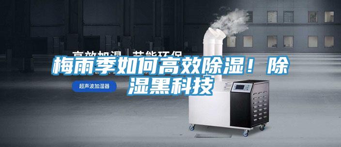 梅雨季如何高效除濕！除濕黑科技