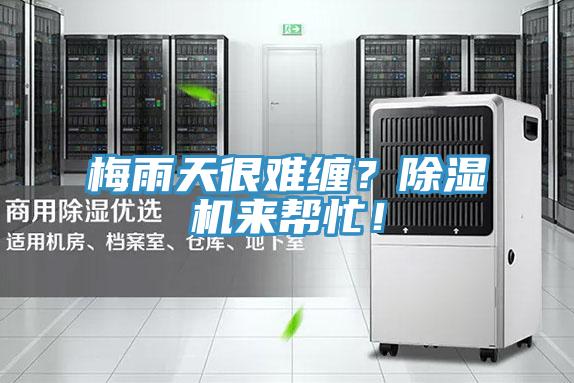 梅雨天很難纏？除濕機來幫忙！
