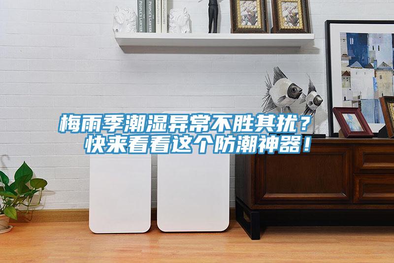梅雨季潮濕異常不勝其擾？ 快來看看這個防潮神器！