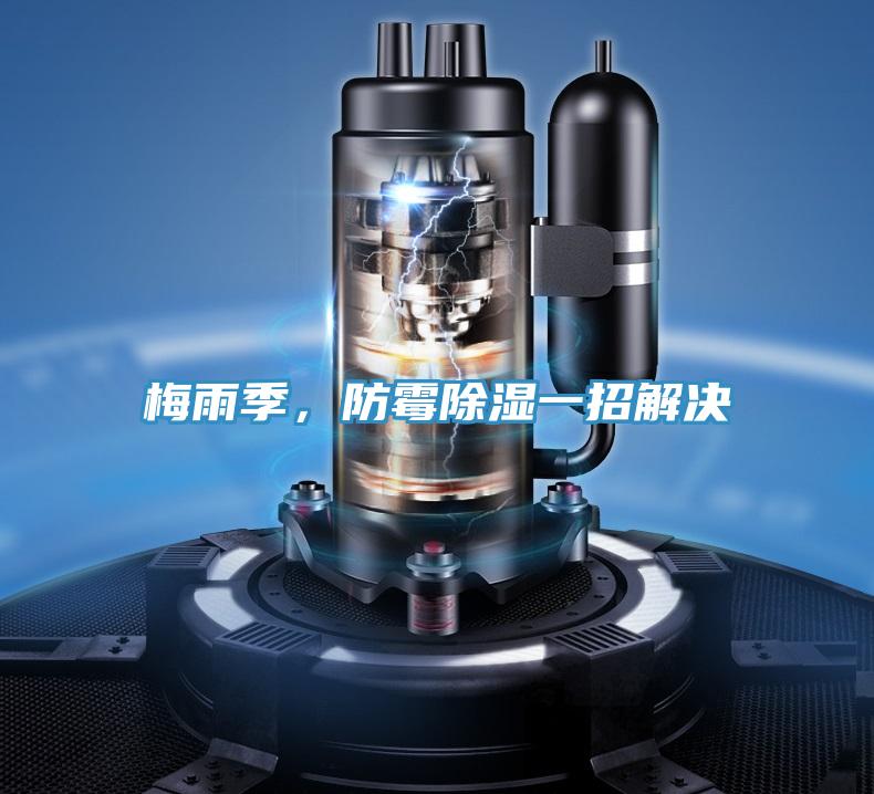 梅雨季，防霉除濕一招解決