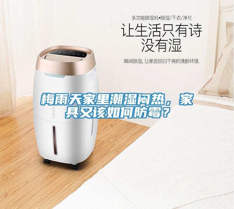 梅雨天家里潮濕悶熱，家具又該如何防霉？