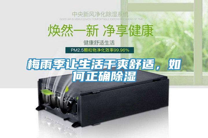 梅雨季讓生活干爽舒適，如何正確除濕
