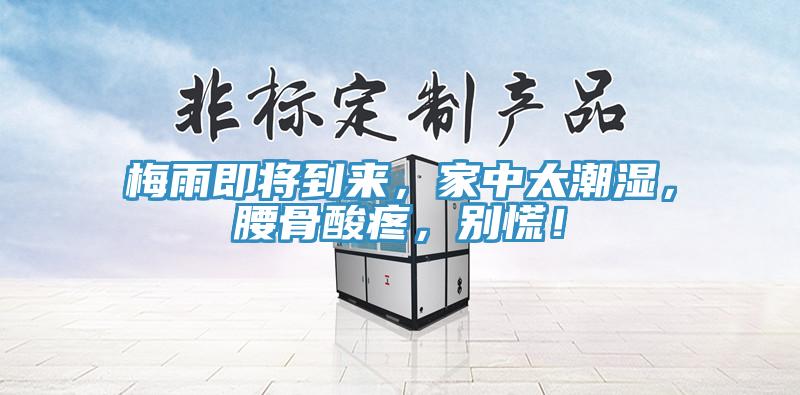 梅雨即將到來，家中太潮濕，腰骨酸疼，別慌！