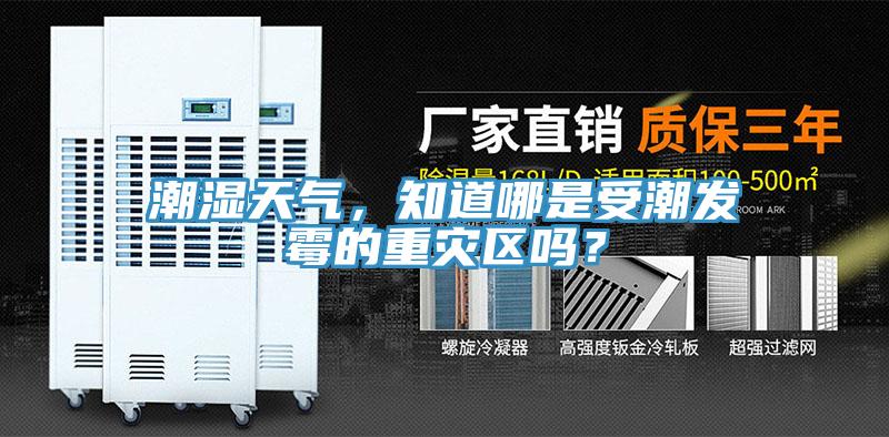 潮濕天氣，知道哪是受潮發(fā)霉的重災(zāi)區(qū)嗎？