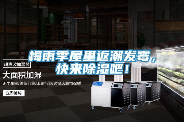 梅雨季屋里返潮發(fā)霉，快來(lái)除濕吧！