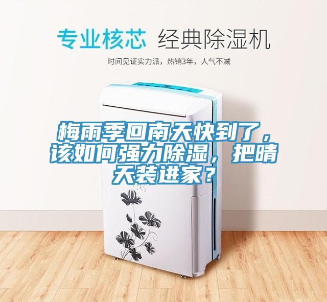 梅雨季回南天快到了，該如何強(qiáng)力除濕，把晴天裝進(jìn)家？