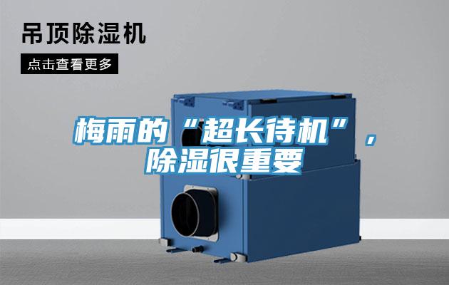 梅雨的“超長(zhǎng)待機(jī)”，除濕很重要