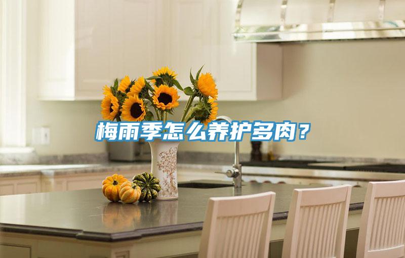 梅雨季怎么養(yǎng)護(hù)多肉？