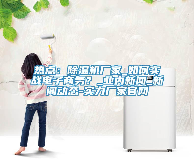 熱點：除濕機廠家_如何實戰(zhàn)電子商務(wù)？_業(yè)內(nèi)新聞_新聞動態(tài)-實力廠家官網(wǎng)