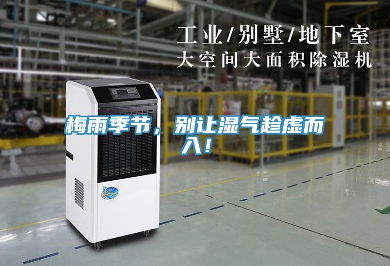 梅雨季節(jié)，別讓濕氣趁虛而入！