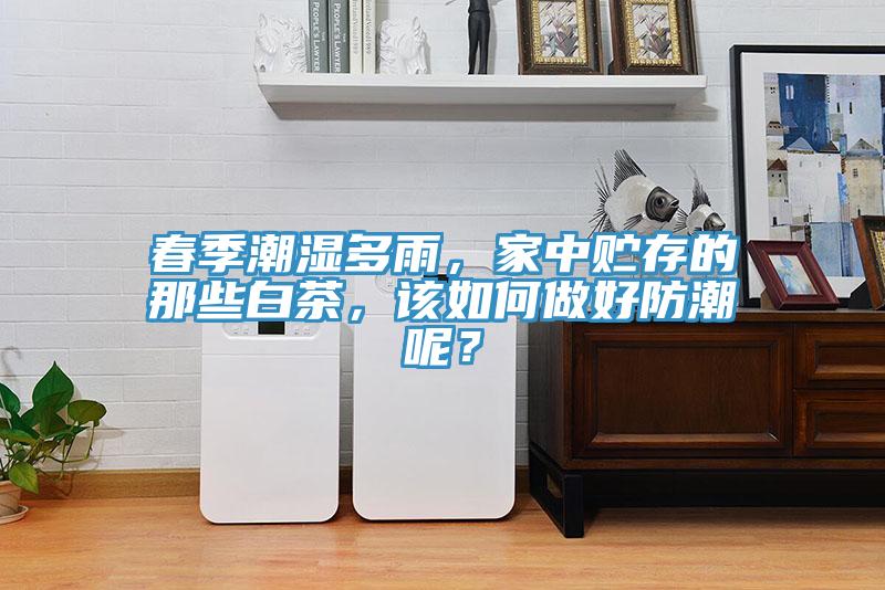 春季潮濕多雨，家中貯存的那些白茶，該如何做好防潮呢？