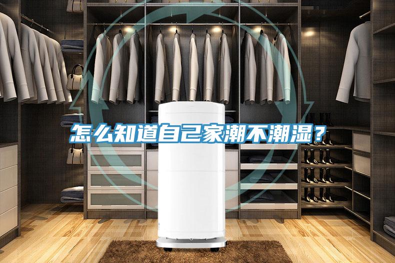 怎么知道自己家潮不潮濕？