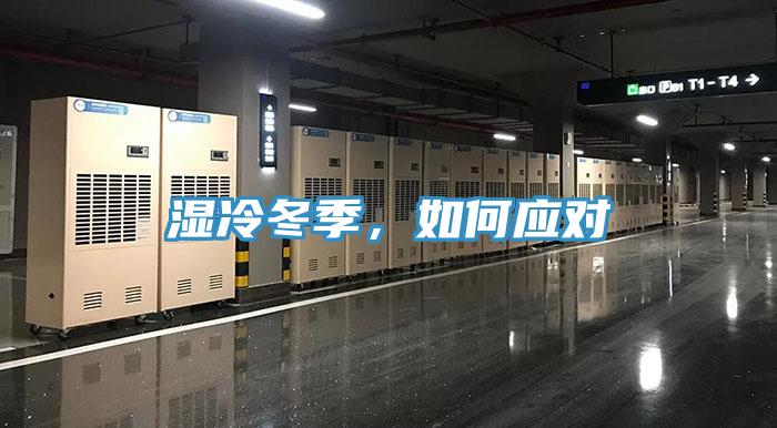 濕冷冬季，如何應(yīng)對