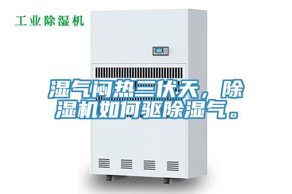 濕氣悶熱三伏天，除濕機(jī)如何驅(qū)除濕氣。