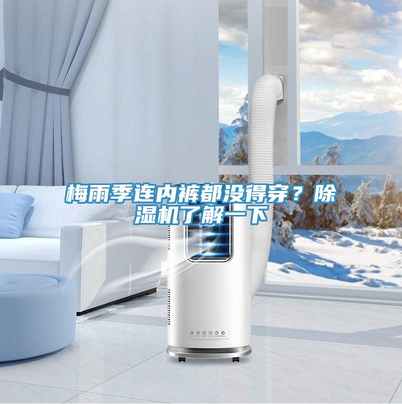 梅雨季連內(nèi)褲都沒得穿？除濕機了解一下