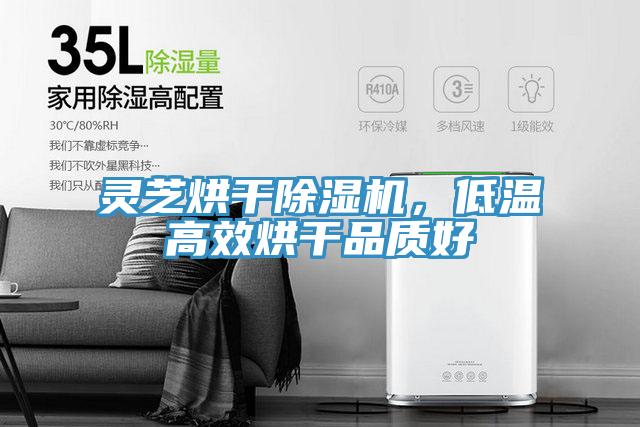 靈芝烘干除濕機，低溫高效烘干品質(zhì)好