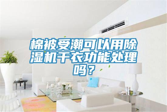 棉被受潮可以用除濕機干衣功能處理嗎？