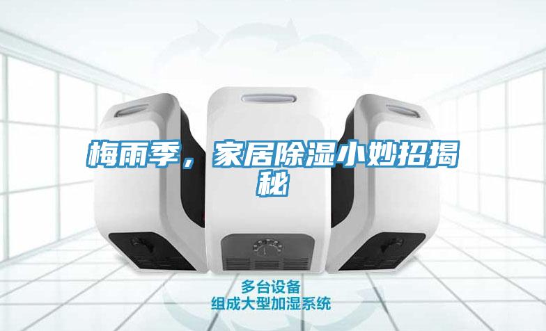 梅雨季，家居除濕小妙招揭秘