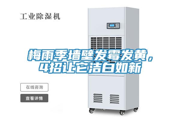 梅雨季墻壁發(fā)霉發(fā)黃，4招讓它潔白如新