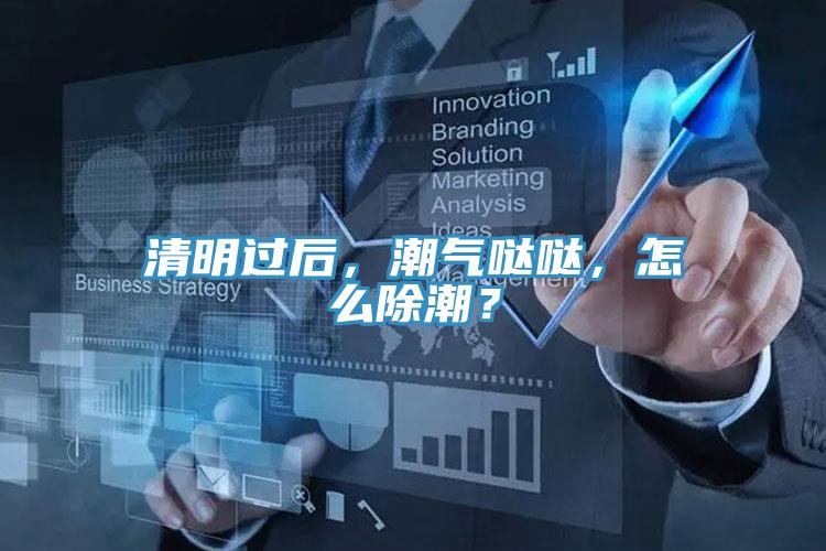 清明過后，潮氣噠噠，怎么除潮？