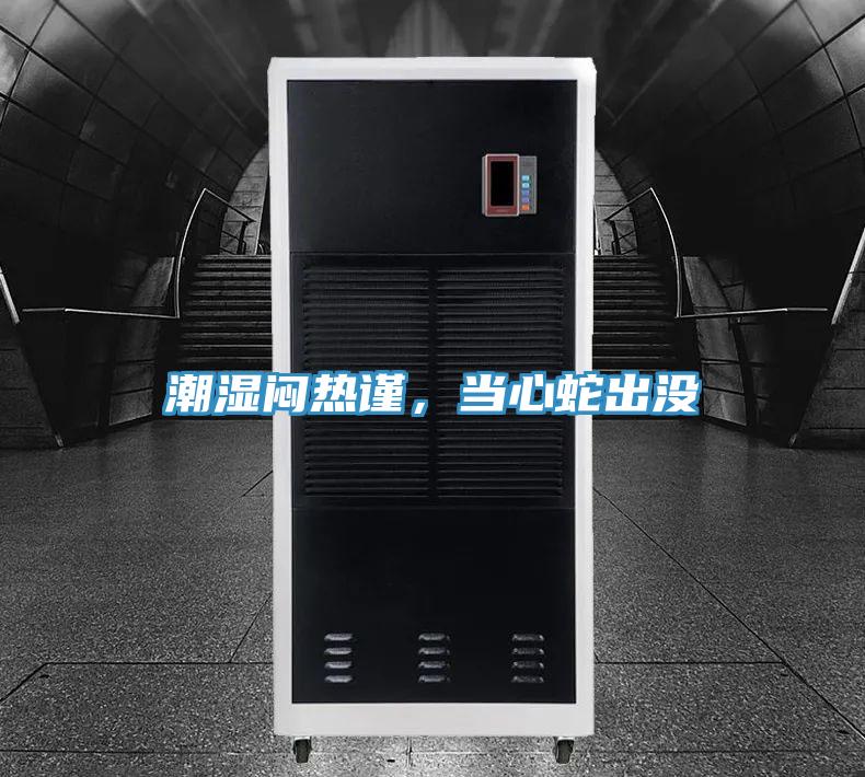 潮濕悶熱謹(jǐn)，當(dāng)心蛇出沒(méi)