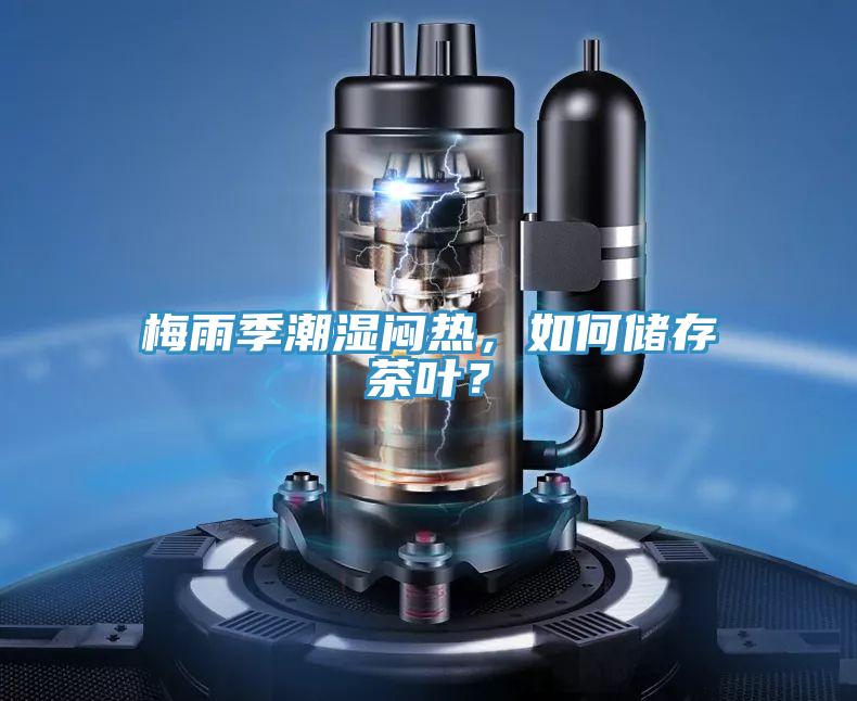 梅雨季潮濕悶熱，如何儲存茶葉？