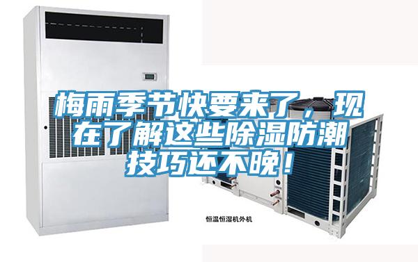 梅雨季節(jié)快要來了，現(xiàn)在了解這些除濕防潮技巧還不晚！