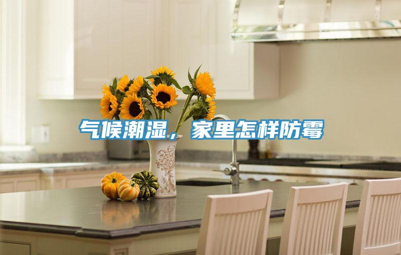 氣候潮濕，家里怎樣防霉