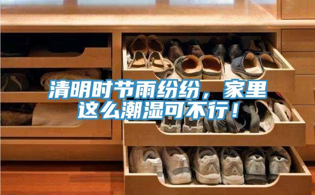 清明時(shí)節(jié)雨紛紛，家里這么潮濕可不行！