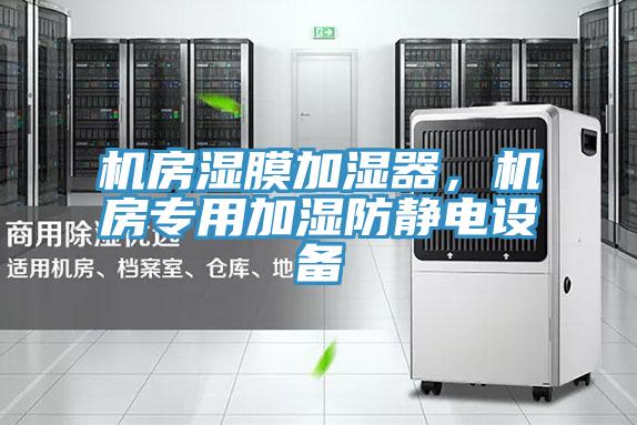 機(jī)房濕膜加濕器，機(jī)房專用加濕防靜電設(shè)備