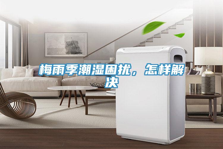 梅雨季潮濕困擾，怎樣解決