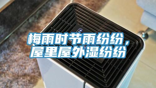 梅雨時(shí)節(jié)雨紛紛，屋里屋外濕紛紛