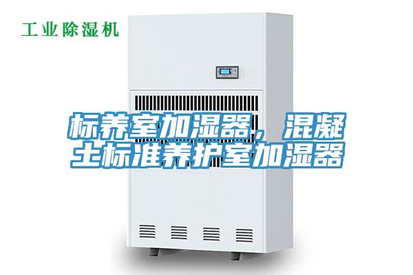 標(biāo)養(yǎng)室加濕器，混凝土標(biāo)準(zhǔn)養(yǎng)護(hù)室加濕器