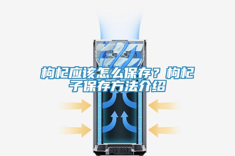 枸杞應(yīng)該怎么保存？枸杞子保存方法介紹