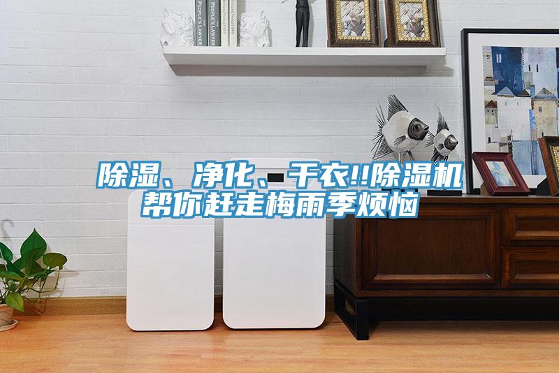 除濕、凈化、干衣!!除濕機(jī)幫你趕走梅雨季煩惱