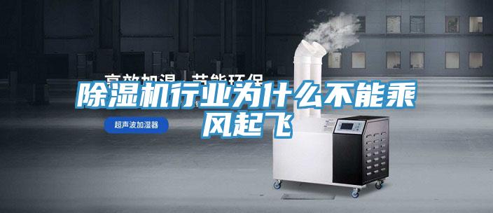 除濕機行業(yè)為什么不能乘風(fēng)起飛